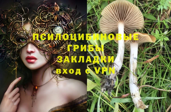 спиды Вязники