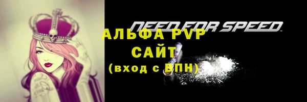 СК Волоколамск