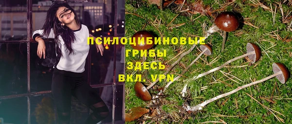 спиды Вязники